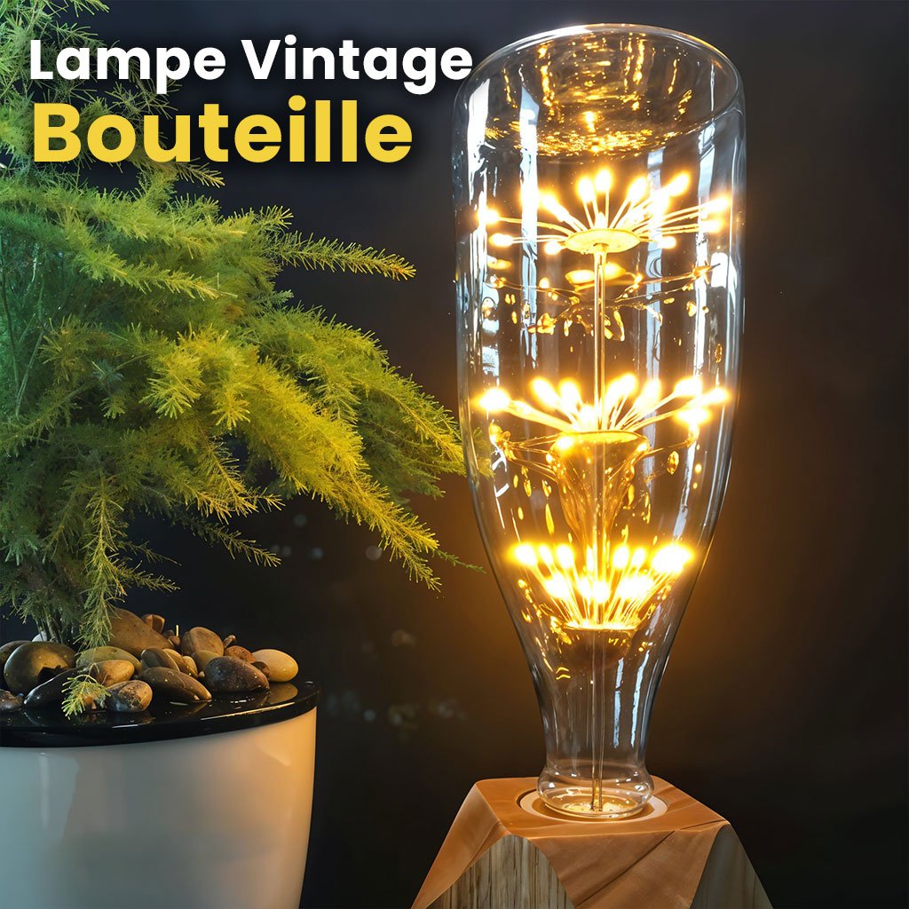 Ampoule Edison E27 à Vis LED Grande Bouteille image 0