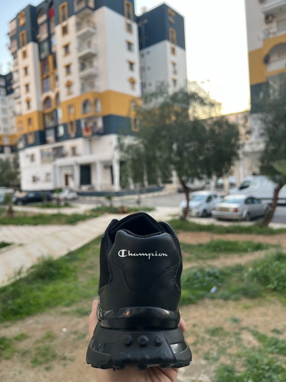 Sneakers Champion Premium Homme – Style Sportif Confort & Performance